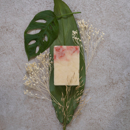 Sapone doccia solido