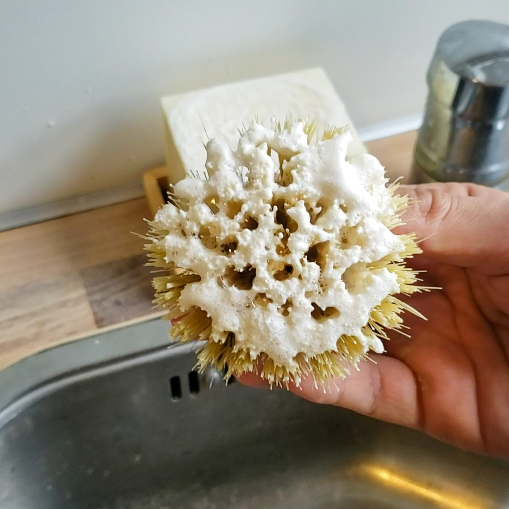 Spazzola per piatti in Legno