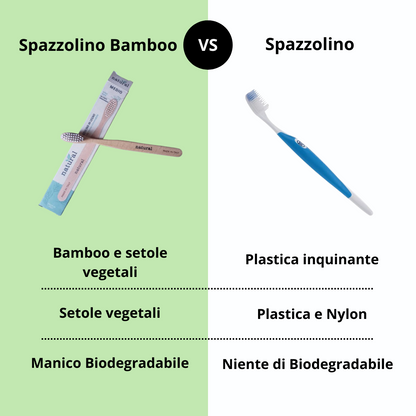 Spazzolino in Faggio
