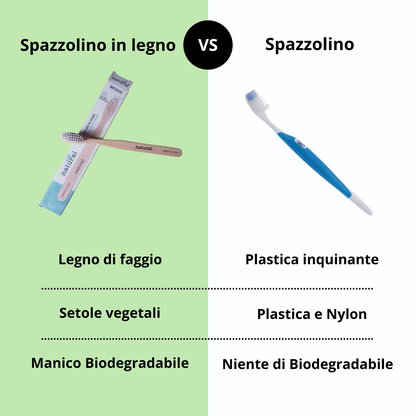 Spazzolino in Faggio